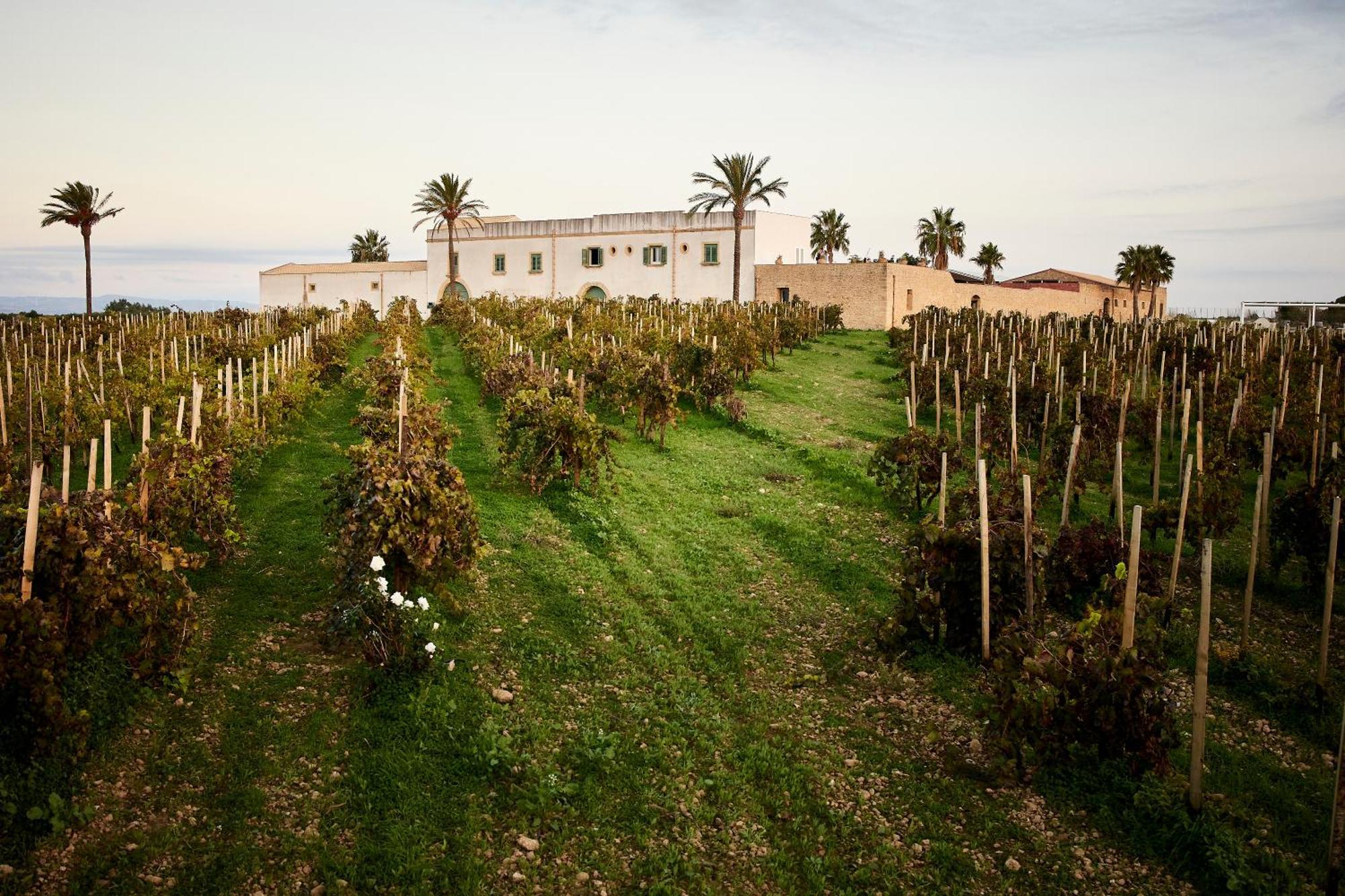 Agriturismo Baglio Donnafranca Wine Resort Marsala Extérieur photo