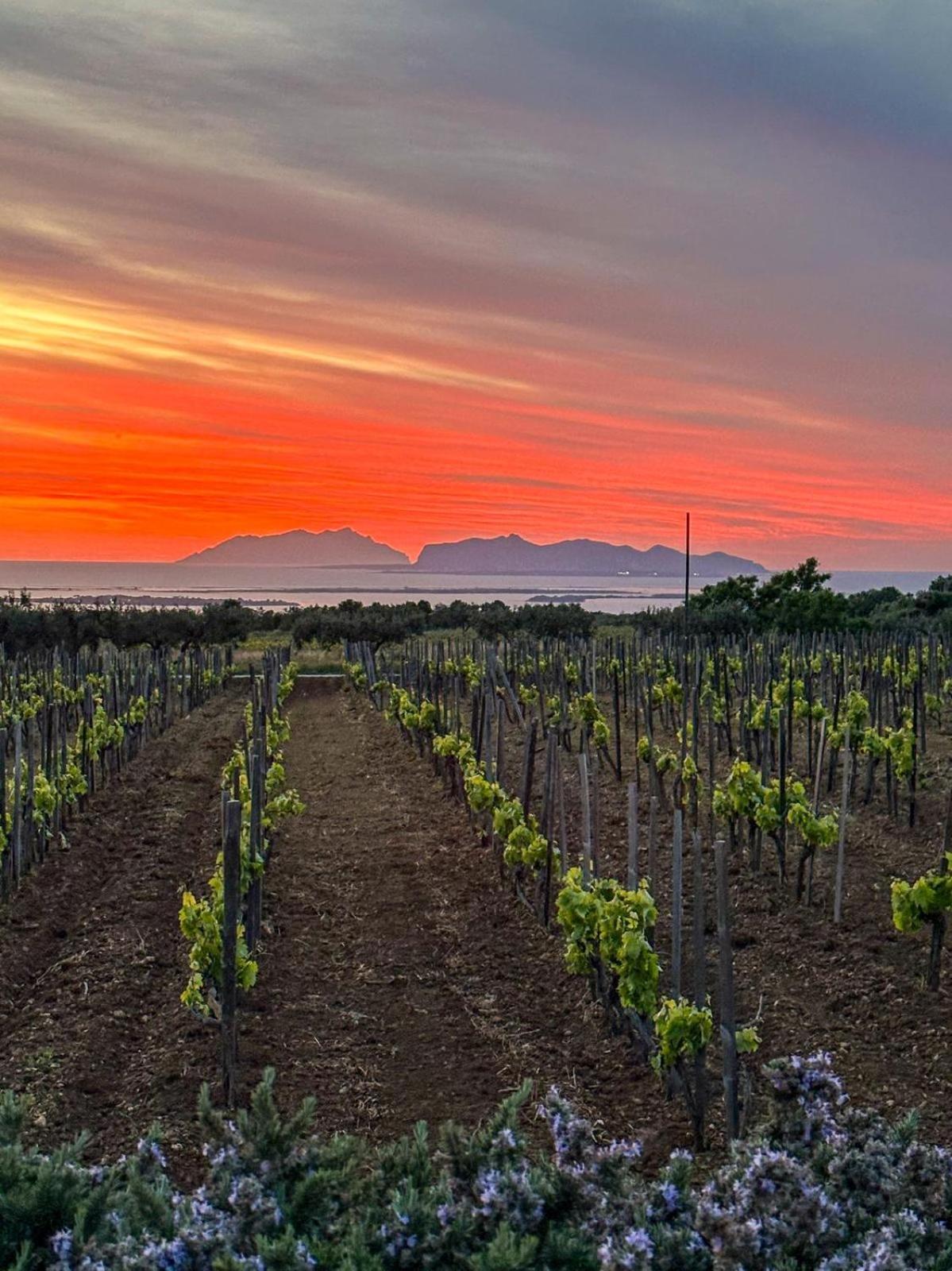 Agriturismo Baglio Donnafranca Wine Resort Marsala Extérieur photo